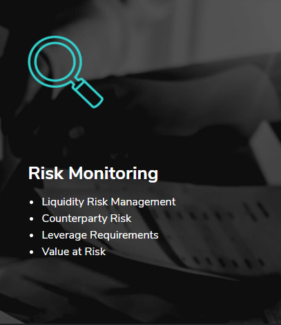 Risk-Monitoring